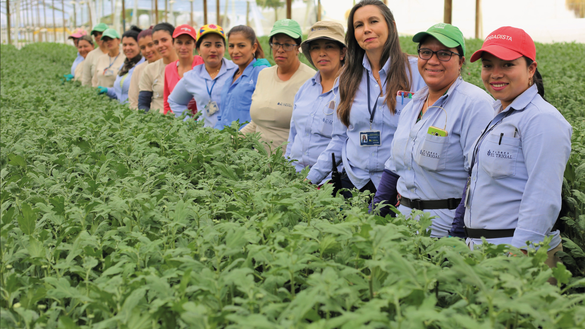 En Flores El Trigal nos unimos al compromiso para seguir cultivando con orgullo Flores de Colombia