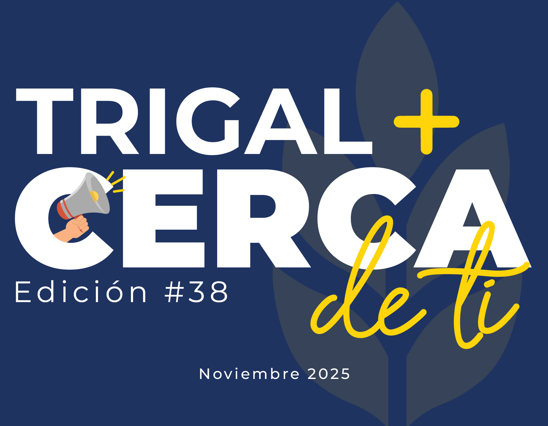 Boletín noviembre – Edición #38